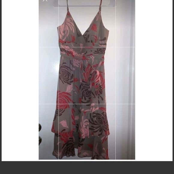 Max and Cleo - Picture 1 of 2